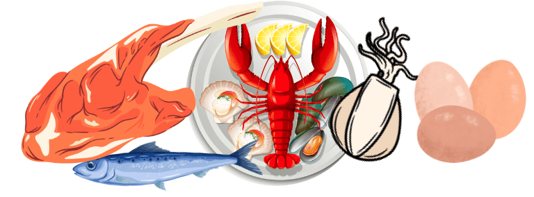 Image de poisson, fruits de mer, viande et des oeufs