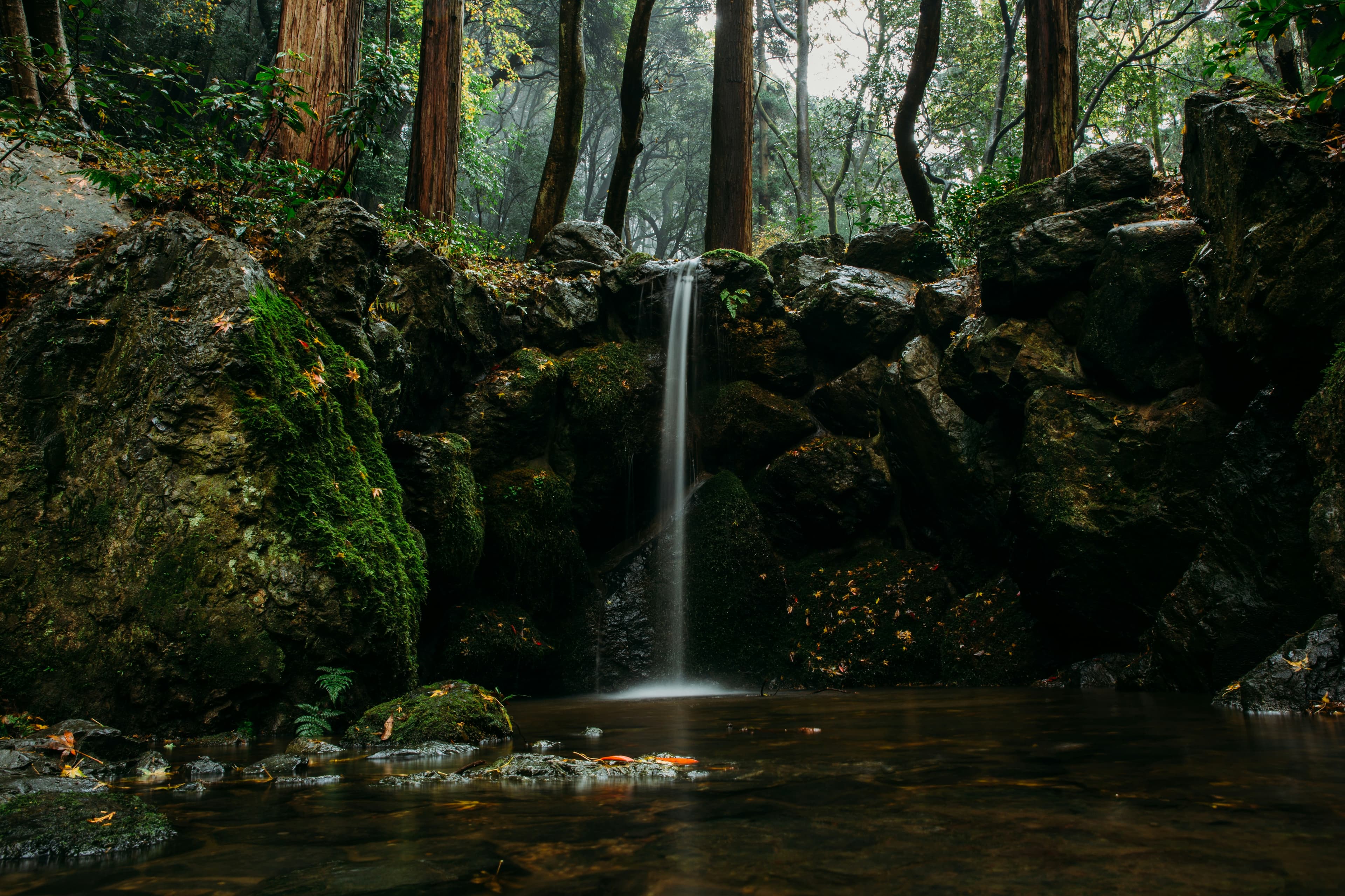 Waterfall